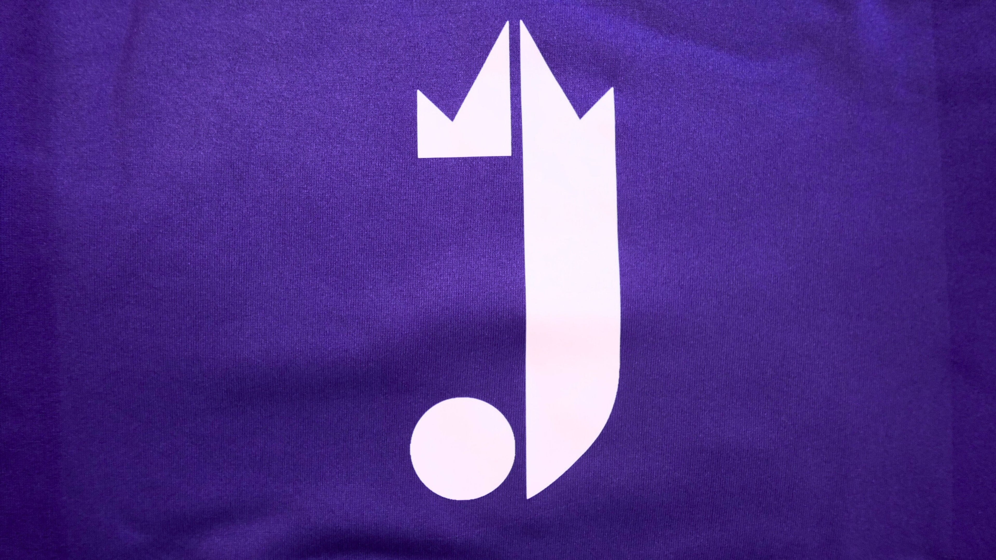 J King of R&B Hoodie (Purple)